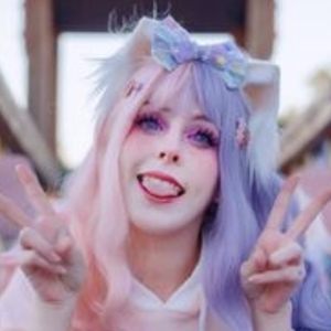 Luna the Cat, 28 (Звезда Тиктока)