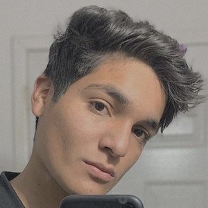 Marcodule, 22 (TikTok Star)