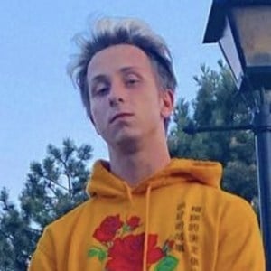 Mario Skowron image 5