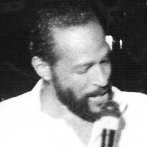 Marvin Gaye (1939 - 1984) (靈魂歌手)