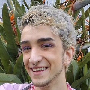 Mateo De Miguel image 3