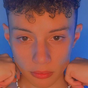 matheusbocardi image 4