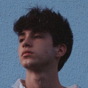 Matinobregon image 8