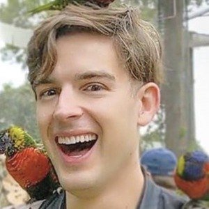 MatPat, 38 (YouTube明星)