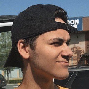 Matt Mauviel image 4