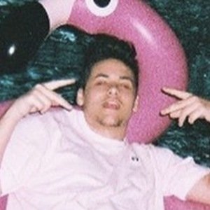 Matt Mauviel image 6