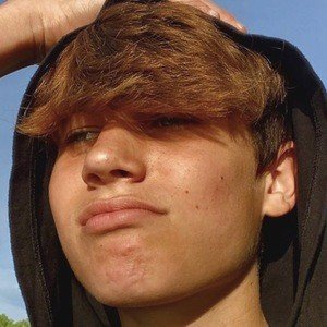 Matteo Lombardo image 3