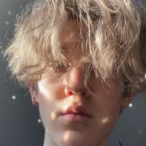 Matvey Zinoviev image 3