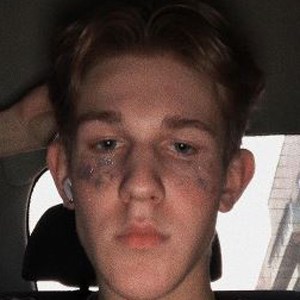 Matvey Zinoviev image 7