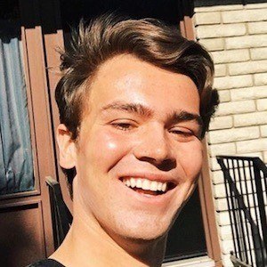 Max Beaumont image 7
