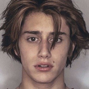 Max Dressler, 23 (TikTok明星)