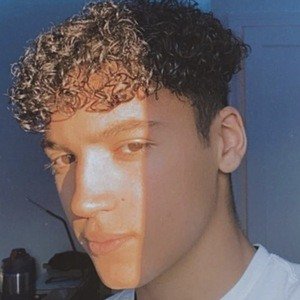 Maximo Rivano, 21 (TikTok Star)