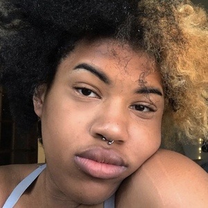 megagonefree image 5