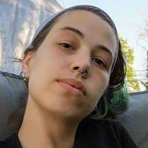 Memorie Holiday image 4