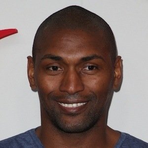 Metta World Peace image 6