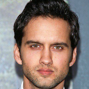 Michael Steger image 3