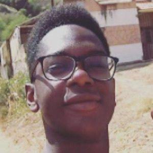 Miguel Monteiro image 5