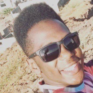 Miguel Monteiro image 6