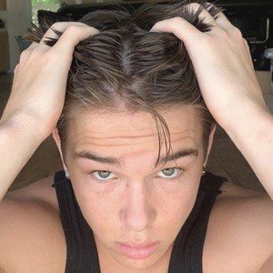 Milo Murphy, 24 (TikTok Star)