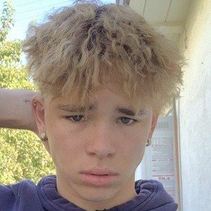 Milo Murphy, 24 (TikTok Star)