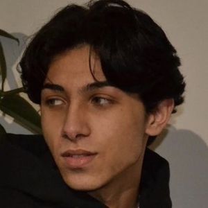 Milos Guzel, 22 (TikTok-ster)