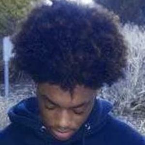 Mingo, 22 (TikTok Star)