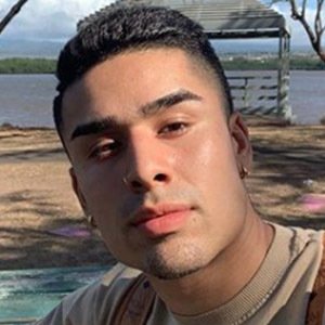 Misterwontons, 26 (Star d'Instagram)