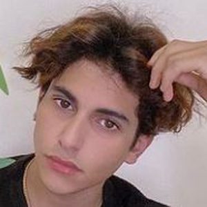 Moha Shmri image 6