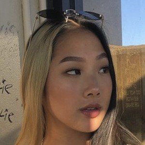 Moolan Nguyen image 8