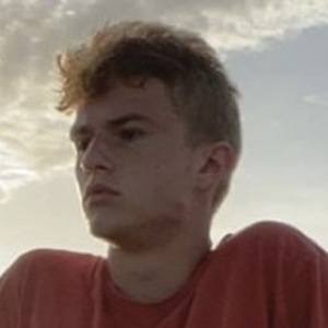 Nate Mollick image 2