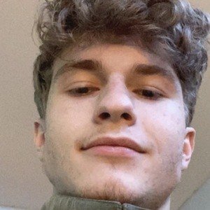 Nate Mollick image 5