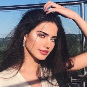 Negin Ghalavand image 5