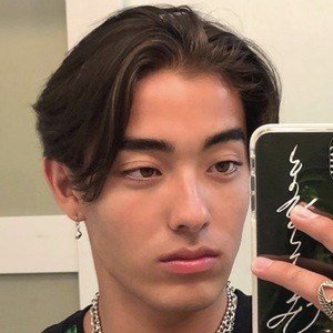 Neil Shibata, 25 (TikTok Star)