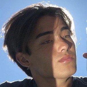 Neil Shibata, 25 (TikTok Star)