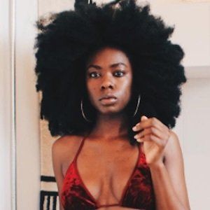 Nestreya, 34 (Modell)