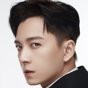 Ngo Kien Huy image 11