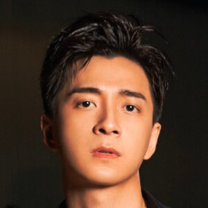 Ngo Kien Huy image 12