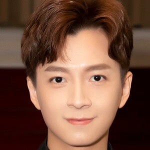 Ngo Kien Huy image 7