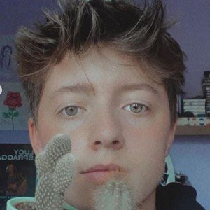 Nick Blair Brown image 7