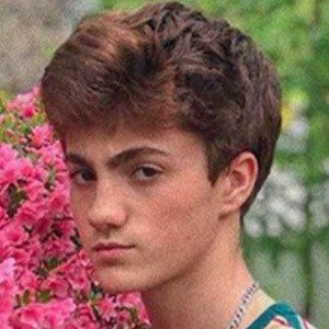 Nick Davis Weinstein, 22 (Estrella de TikTok)