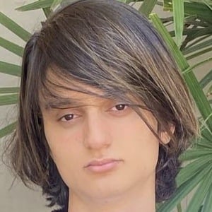 Nicolas Gomes image 7