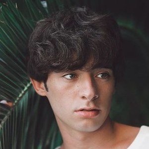 Nicolas Ross image 2