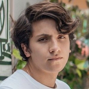 Nicolas Rubiano image 3
