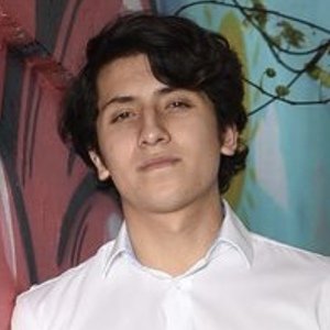 Nicolas Rubiano image 4