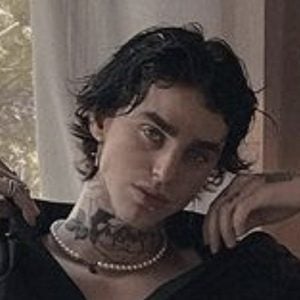 Nikita Momotov, 23 (TikTok明星)