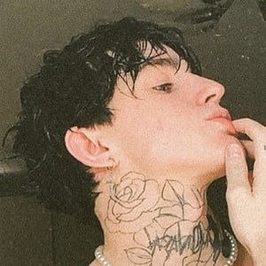 Nikita Momotov, 23 (TikTok明星)