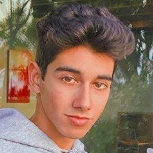 Niko Agahnia, 24 (TikTok Star)