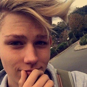 Nils Hargus, 25 (TikTok明星)