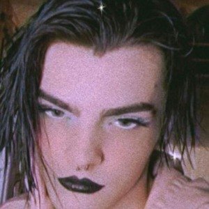 Noah Bailey image 6