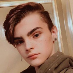 Noah Bailey image 7